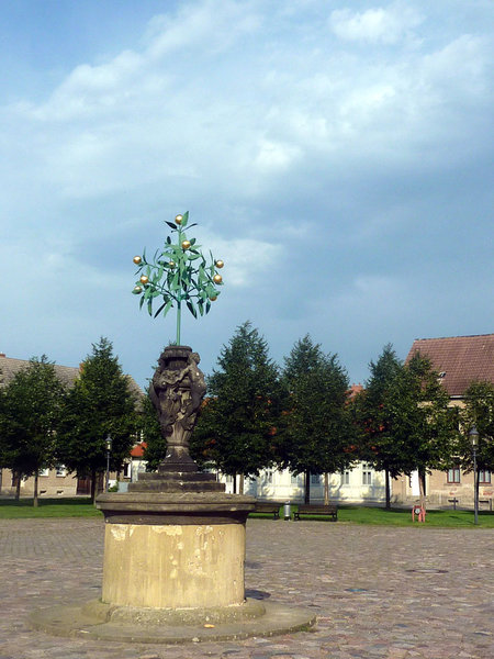 Orangenbaum -Wahrzeichen der Stadt, mit Blick zum Witwenhaus / {Location}: Oranienbaum 2011\\n\\n23.08.2011 19:50